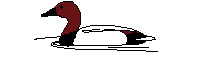 duck1.gif (1660 octets)