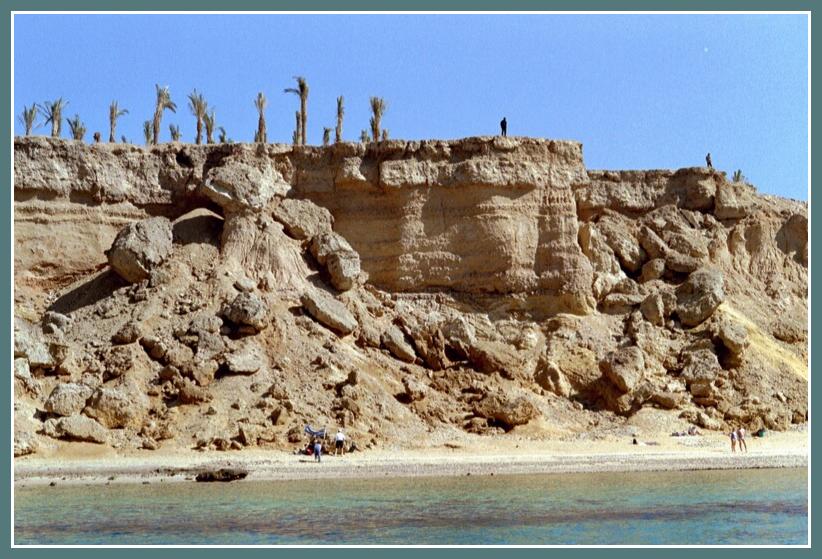006cg.JPG (101371 octets)