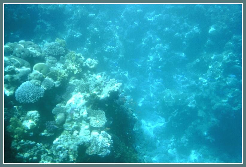 1_016cg.JPG (61802 octets)