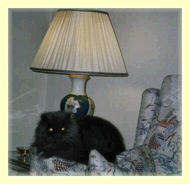 shirleycad.jpg (21279 octets)