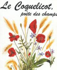 pavot.jpg (53262 octets)
