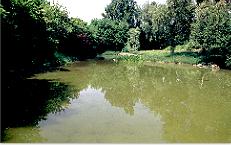 6dosvenoge.jpg (9600 octets)